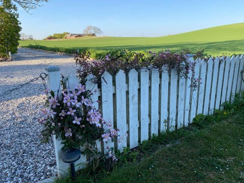 Svalebolle Bed & Breakfast Tranekær Zewnętrze zdjęcie